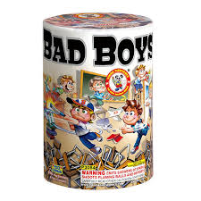 WINDA BAD BOYS - CASE 24/1